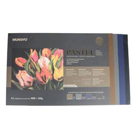 Pastel paper pad dark assortment