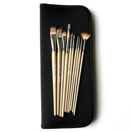 Case including 10 assorted brush series 3000